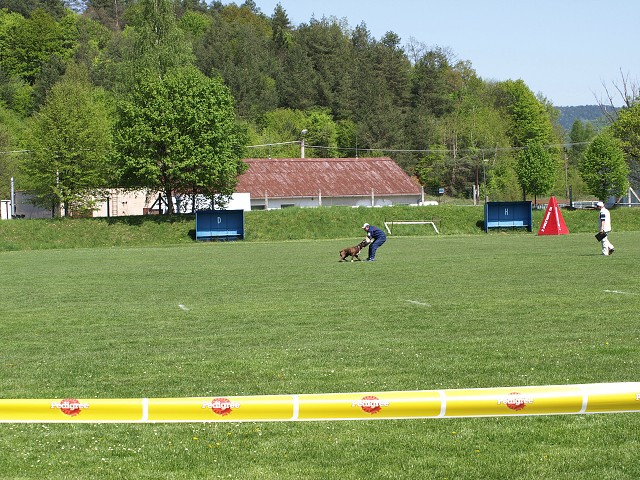www.atibox.net * www.euroboxer.eu * www.boxergenealogia.eu